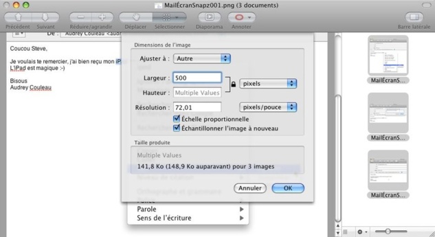 Aperçu • Redimensionner plusieurs images en un clic Aperçu • Redimensionner plusieurs images en un clic