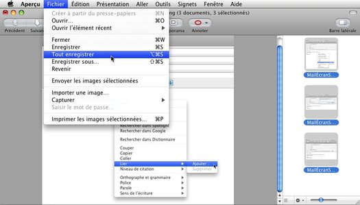 Aperçu • Redimensionner plusieurs images en un clic Aperçu • Redimensionner plusieurs images en un clic