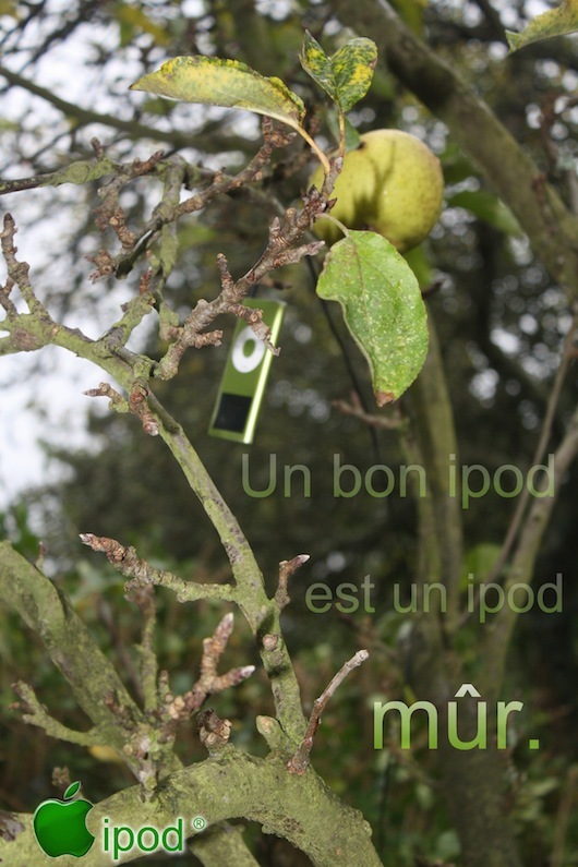 Un bon iPod est un iPod mûr • Yann Normand
