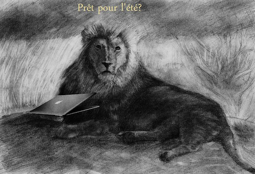 F'estival d'été d'Apple • François Baron