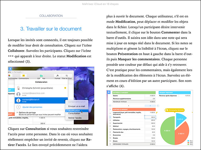 Compétence Mac • Maîtrisez iCLOUD en 18 étapes (ebook)