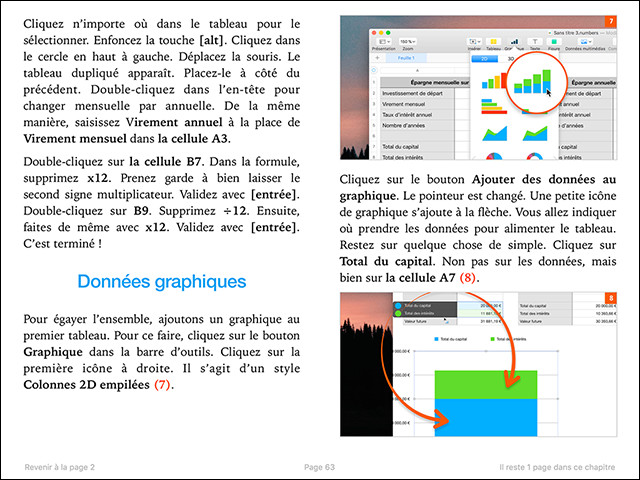 Compétence Mac • Maîtrisez NUMBERS pour Mac (ebook)