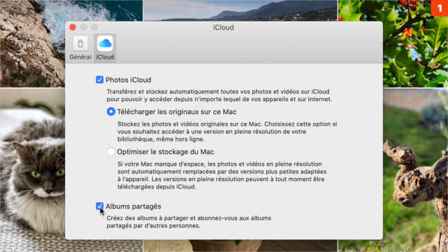 Photos • Partagez des albums photos en quelques clics à l'aide d'iCloud Photos • Partagez des albums photos en quelques clics à l'aide d'iCloud