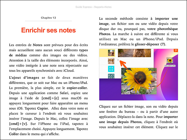 Compétence Mac • Guide Express • Rappels + Notes • pour macOS & iOS (ebook) Compétence Mac • Guide Express • Rappels + Notes • pour macOS & iOS (ebook)