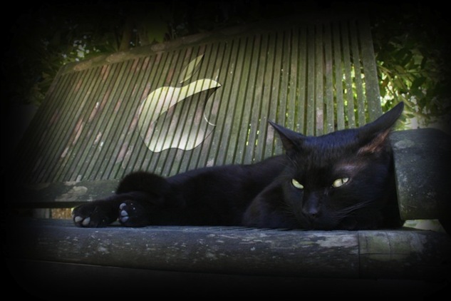 Ti chat • Lionel Hamet