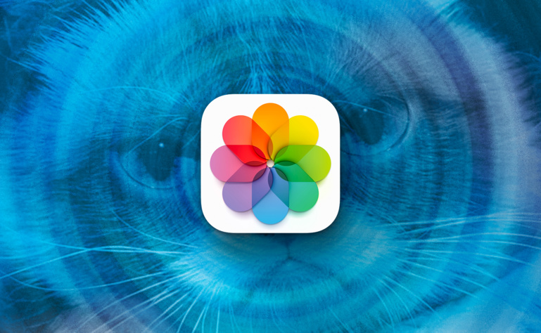 macOS • Retrouvez toutes les photos de chat de votre photothèque