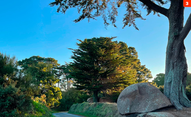 Photo © Christophe Schmitt Photo © Christophe Schmitt