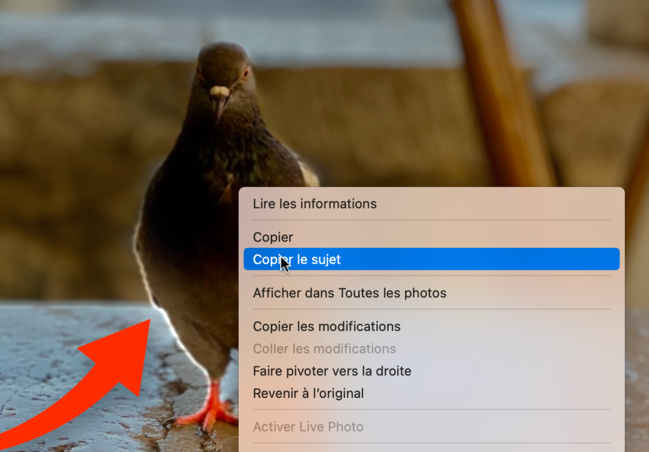 macOS Ventura • Supprimez rapidement l’arrière-plan d’une photo 
