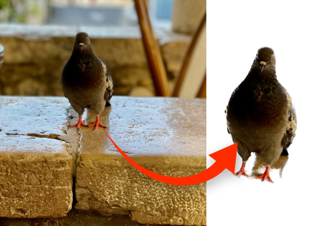 macOS Ventura • Supprimez rapidement l’arrière-plan d’une photo 