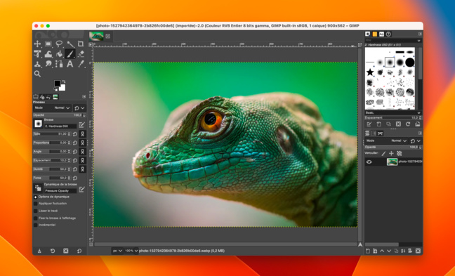 macOS • GIMP est disponible pour les Mac Apple Silicon macOS • GIMP est disponible pour les Mac Apple Silicon