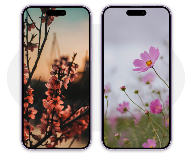 iOS • Des fonds d’écran printaniers pour anticiper la sortie de l’hiver iOS • Des fonds d’écran printaniers pour anticiper la sortie de l’hiver