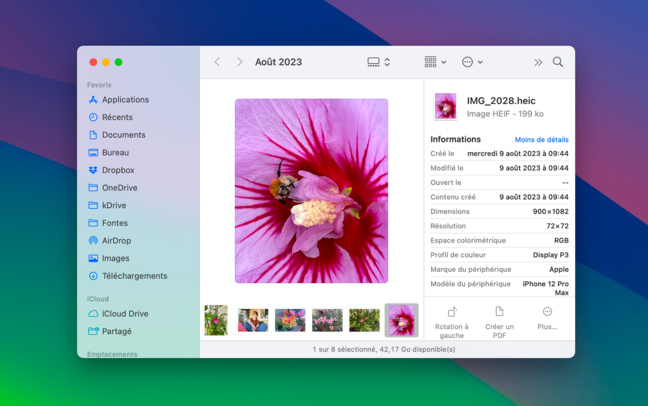 macOS • Convertissez une image HEIC en JPEG ou PNG en quelques clics macOS • Convertissez une image HEIC en JPEG ou PNG en quelques clics