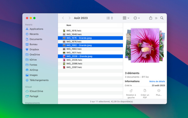 macOS • Convertissez une image HEIC en JPEG ou PNG en quelques clics macOS • Convertissez une image HEIC en JPEG ou PNG en quelques clics