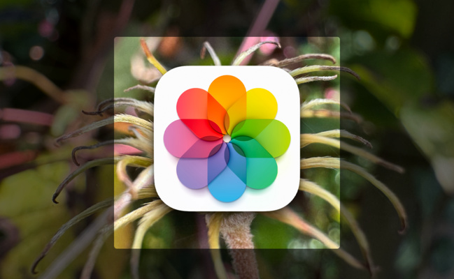 Astuce • Recadrez rapidement une image dans Photos avec iOS 17