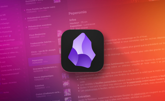 macOS • Obsidian importe vos notes et les conserve bien au chaud