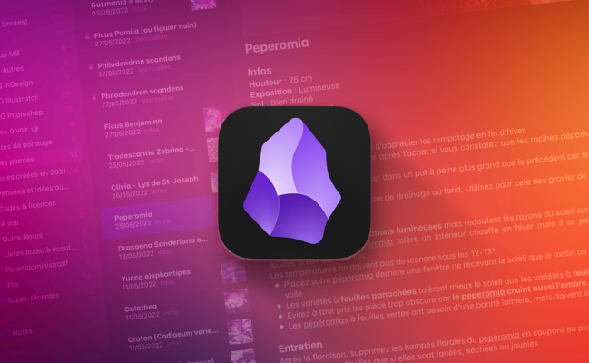 macOS • Obsidian importe vos notes et les conserve bien au chaud macOS • Obsidian importe vos notes et les conserve bien au chaud
