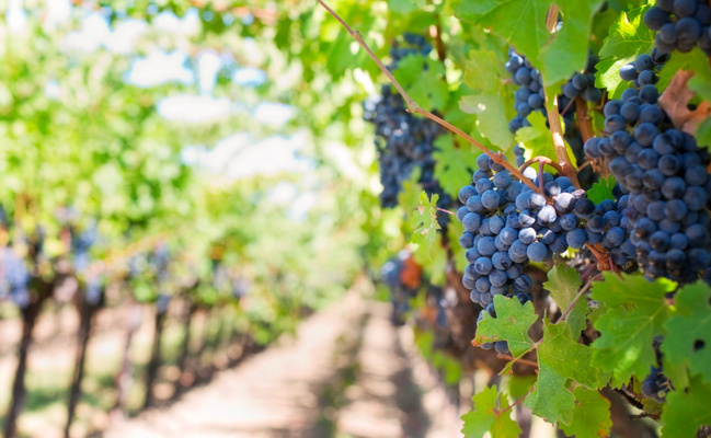 Photo © Jill Wellington/Pexels Photo © Jill Wellington/Pexels