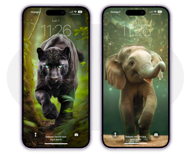 Wallpapers • De superbes fonds d’écran animaliers pour votre iPhone