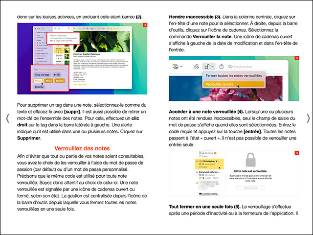 Maîtrisez Notes pour Mac (ebook) Maîtrisez Notes pour Mac (ebook)