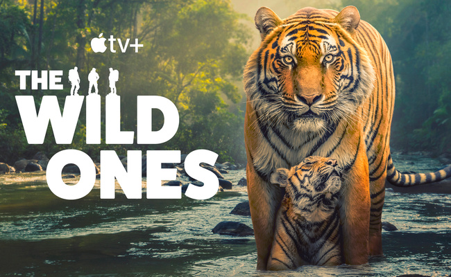 Streaming • Une nouvelle série documentaire dédiée aux animaux (très) sauvages Streaming • Une nouvelle série documentaire dédiée aux animaux (très) sauvages