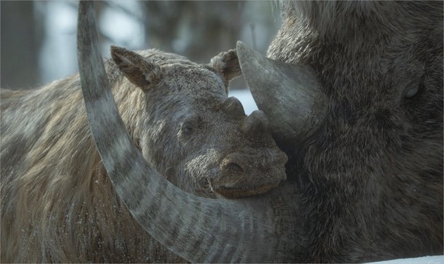 Prehistoric Planet: Ice Age. Photo © Apple TV+.