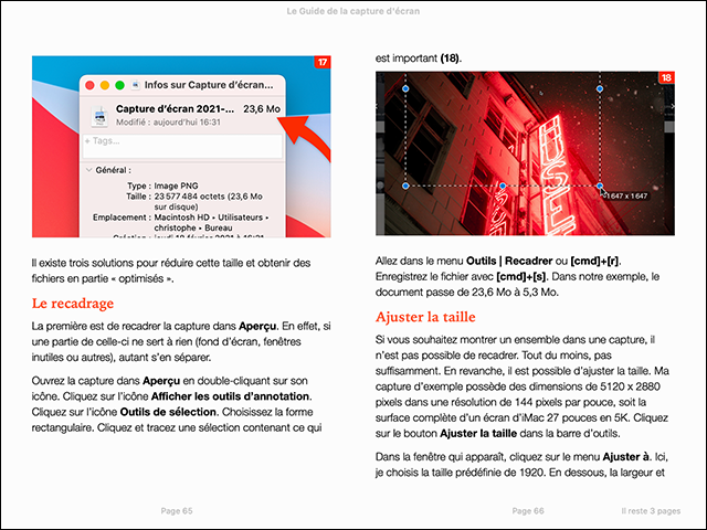 Compétence Mac • Maîtrisez la Capture d'écran - pour macOS et iOS (ebook)