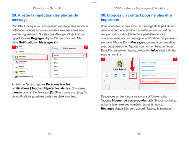 Compétence Mac • Messages & WhatsApp • 100% Astuces • Mac et iPhone (ebook)