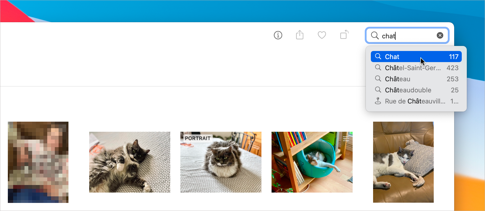macOS • Retrouvez toutes les photos de chat de votre photothèque