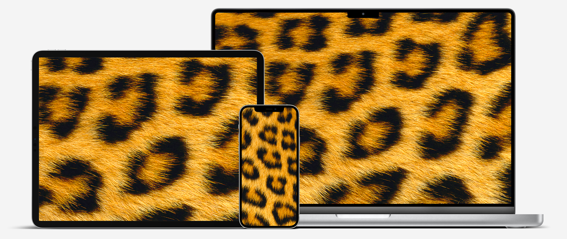 Fonds d’écran • Le retour de Mac OS X Jaguar sur vos écrans