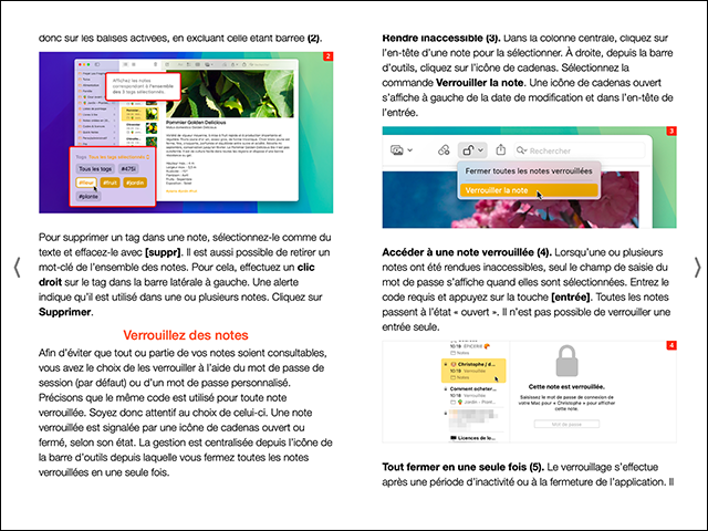 Maîtrisez Notes pour Mac (ebook)