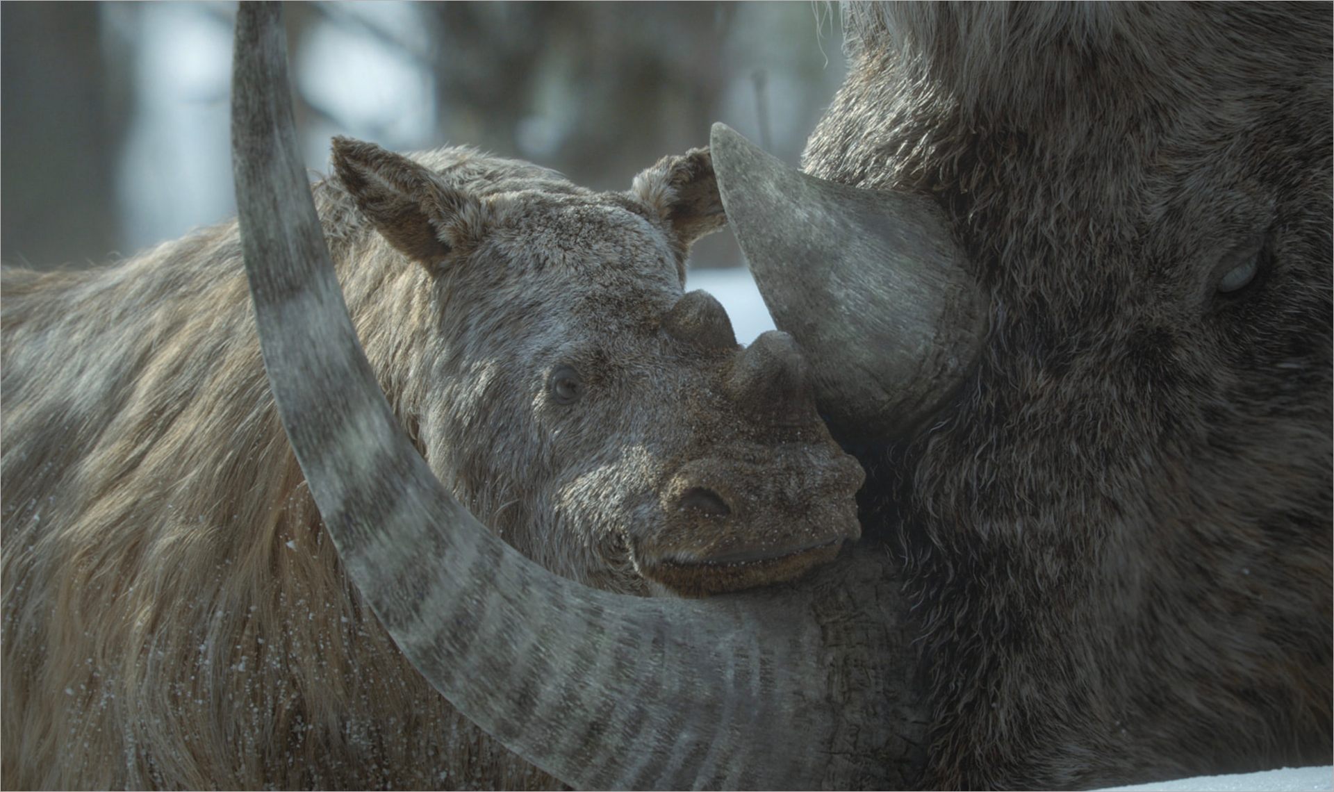 Prehistoric Planet: Ice Age. Photo © Apple TV+.