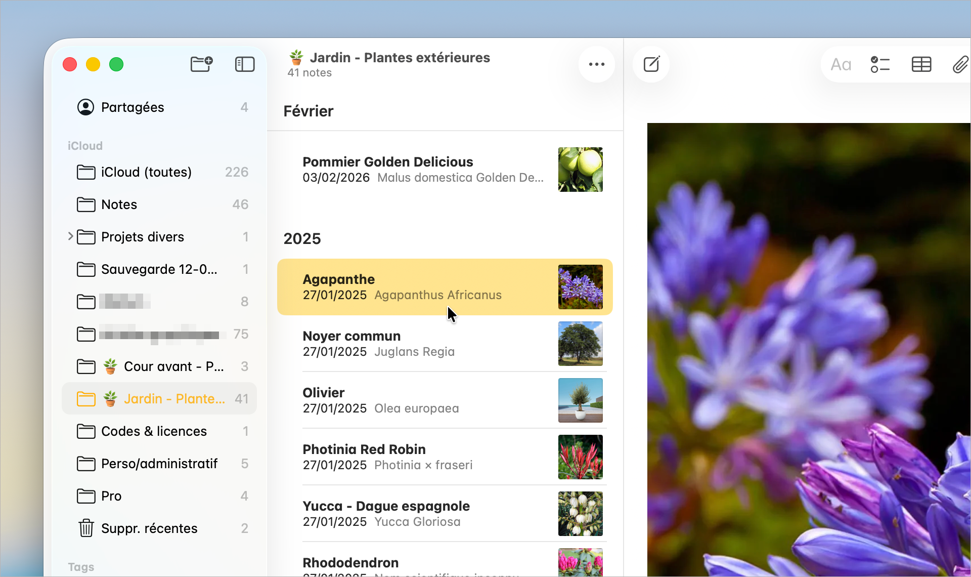 macOS • Explorez d'autres méthodes pour changer la couleur d'accentuation