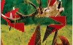iTunes • Single de la semaine (offert) + cadeaux
