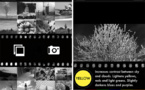 Une appli dédiée au traitement photo Noir &amp; Blanc sur iPhone et iPad