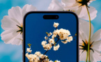 iOS • Des fonds d’écran printaniers pour anticiper la sortie de l’hiver iOS • Des fonds d’écran printaniers pour anticiper la sortie de l’hiver