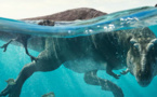 Divertissements • Apple TV+ diffuse la seconde saison de Prehistoric Planet Divertissements • Apple TV+ diffuse la seconde saison de Prehistoric Planet