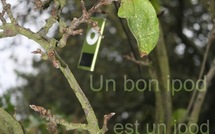Un bon iPod est un iPod mûr • Yann Normand