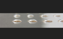 Des écrans tactiles à touches dynamiques Des écrans tactiles à touches dynamiques