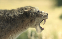 Streaming • Apple TV+ annonce la suite de sa série documentaire Prehistoric Planet